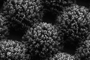 巴中巴中蔡司显微镜