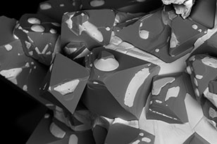 巴中巴中蔡司显微镜